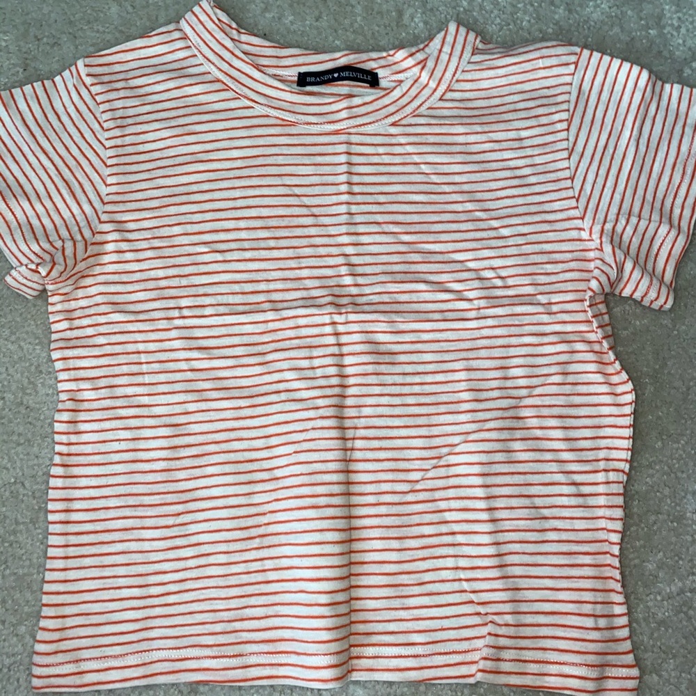 Brandy Melville Striped Ali Crop Top